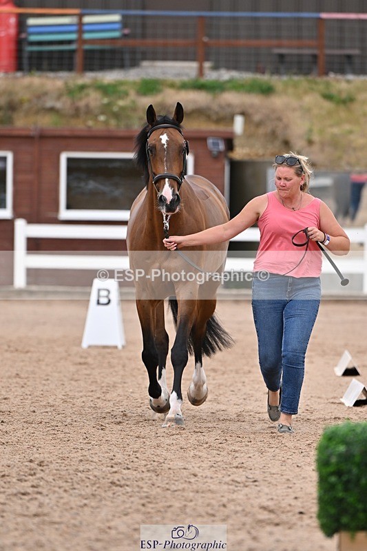 250716-141510-00986 - Trot Up 1.30 to 2.30