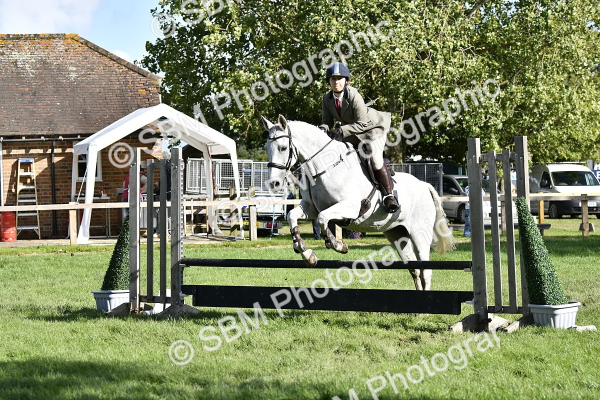SBM_50016 - S34 - Novice & Newcomers Working Hunter