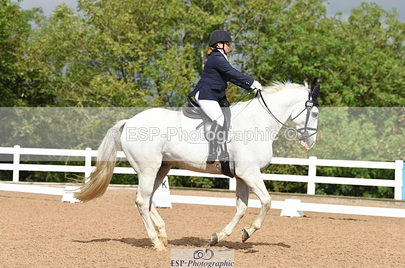 230912A-110258-00485 - Cls 7 Elementary 40