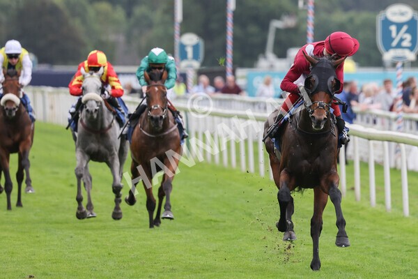 yr24092021r5-22 - Race 5 3.50pm William Hill Leading On Course Bookmaker Stakes