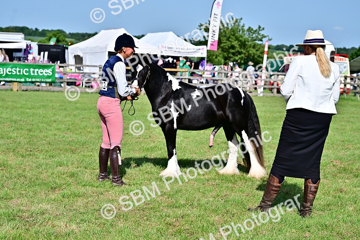 SBM_10007
