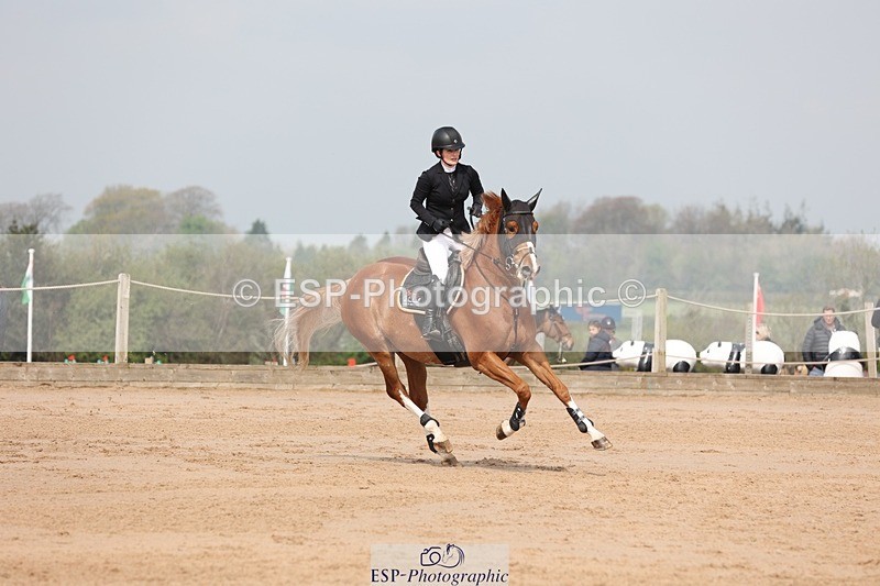 250424-110425-03375 - Cls 33 Young Horse 7yr old