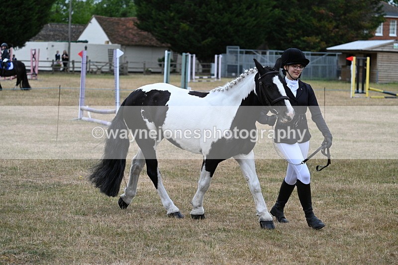 WJ7_8380 - Class 4 Prettiest Mare up to 14.2hh