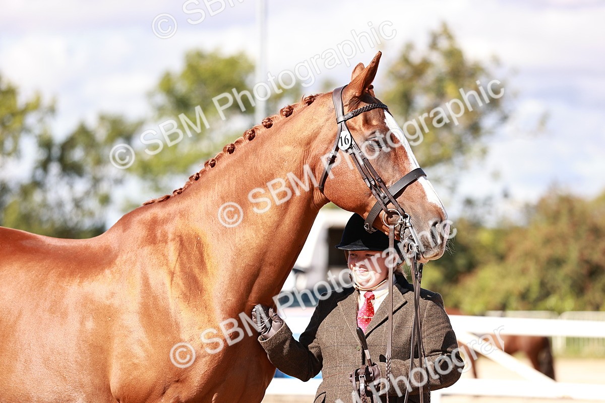 SBM_13342 - class 406 - IH Hunter