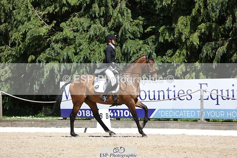 230526-142050-06506 - 373-BENGAL_LORE-Pippa_Taylor-WEDTrotUp+DR