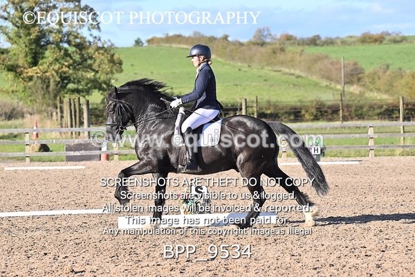 BPP_9534 - LONG ARENA