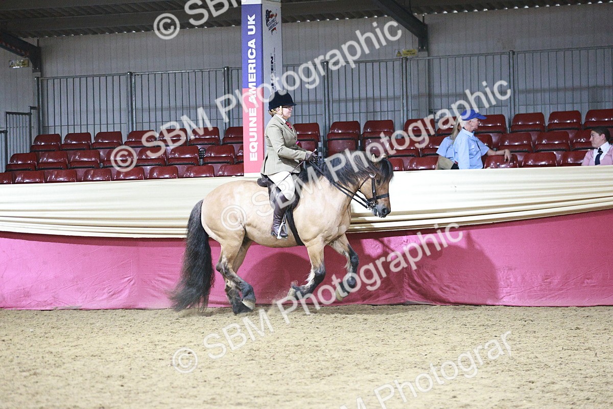 SBM_08053 - Class 11R - Regional Ridden Veteran