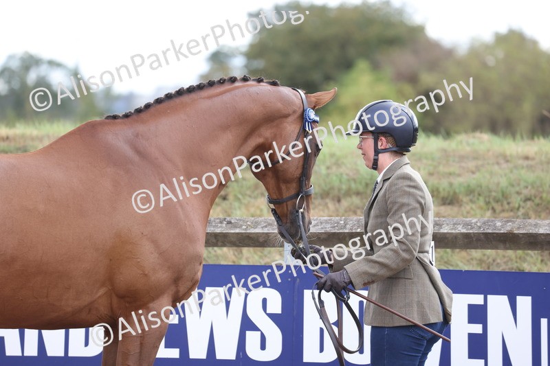 20260831-1946 - Class 5 - Retraining of Racehorses