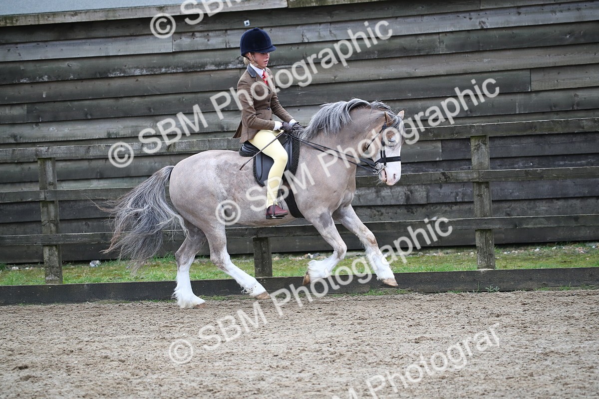 SBM_005924 - Class 10-13 - RIHS Small Large Breeds