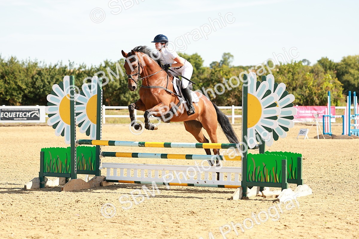 SBM_002637 - Class 9 - Senior British Novice - 90cm