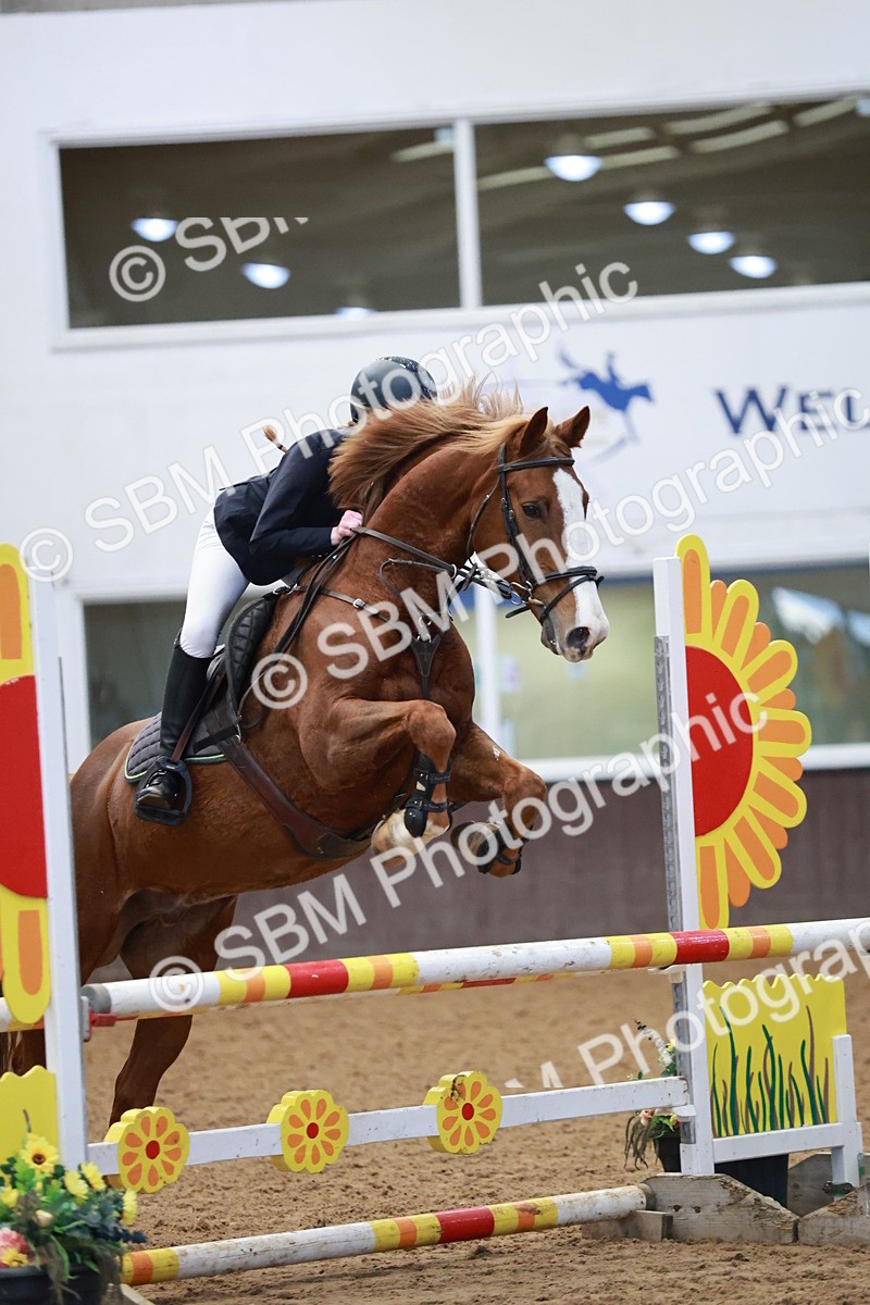 SBM_002995 - Class 9 - Senior British Novice - 90cm