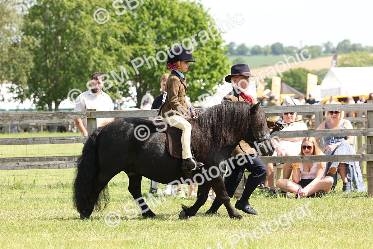 SBM_05192 - Class 24-25 - Mountain & Moorland In Hand Lead Rein and First Ridden
