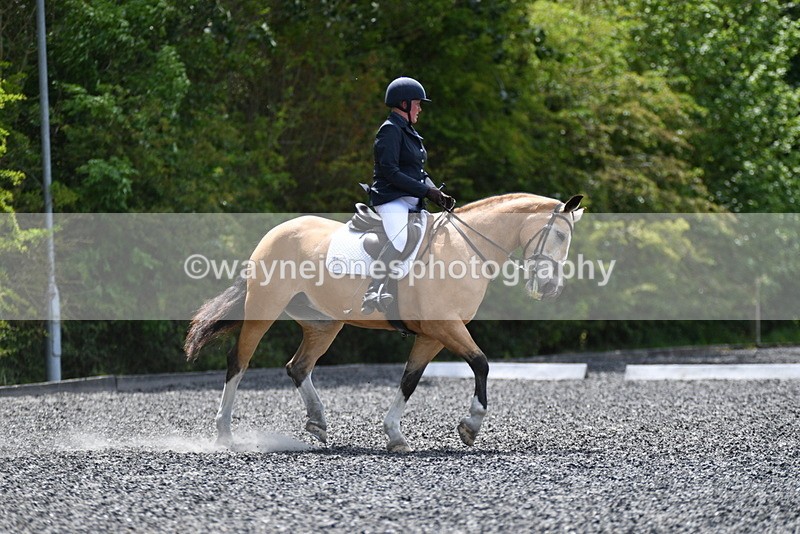 WJ5_0559 - Time 12:24 to 13:01