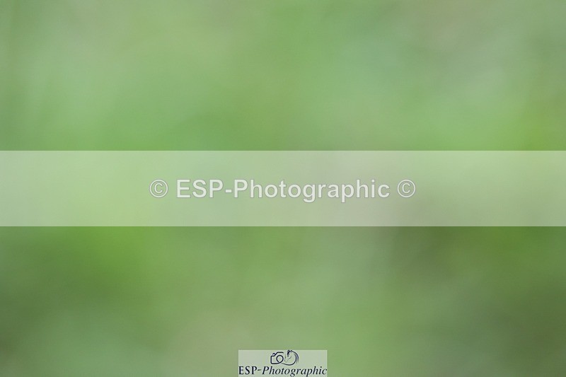 230827-120330-25223 - XC 12 to 13