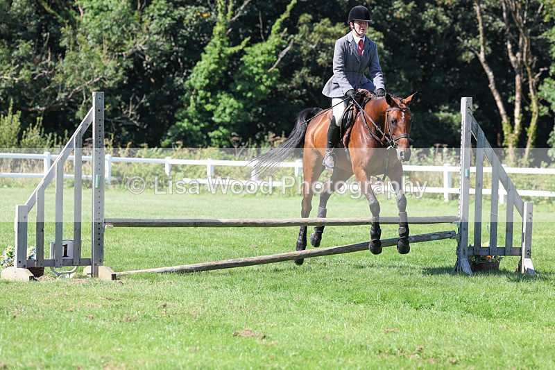 3E7A8294 - Class 4: Novice working Hunter