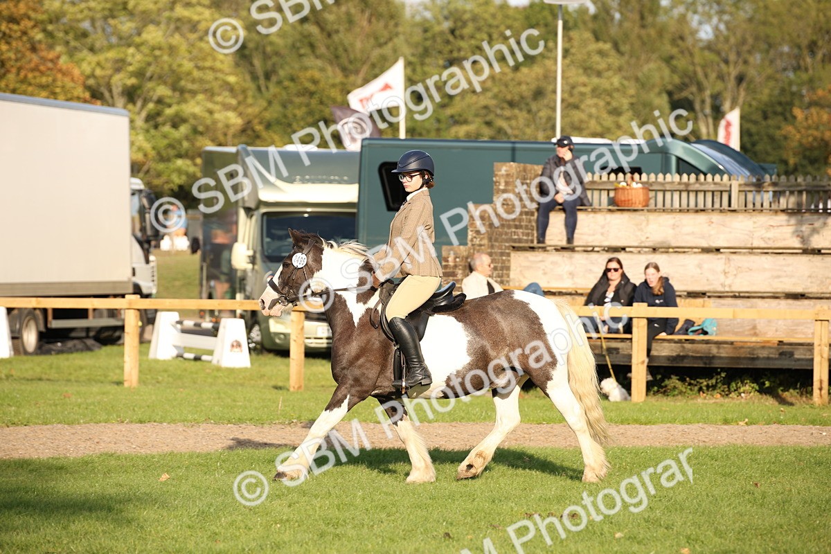 SBM_54353 - S27 - Mature Veteran - Ridden