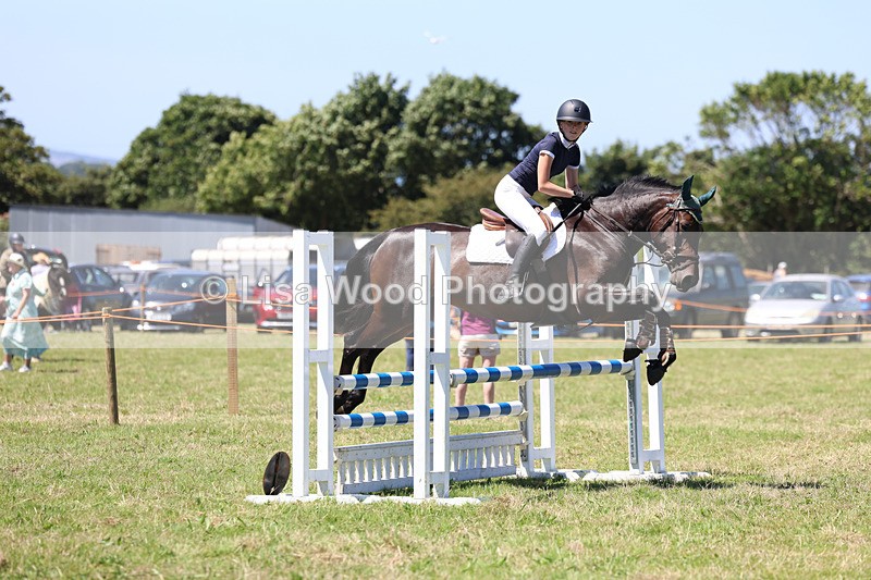 3E7A5521 - Class 9: Senior British Novice/90cm open