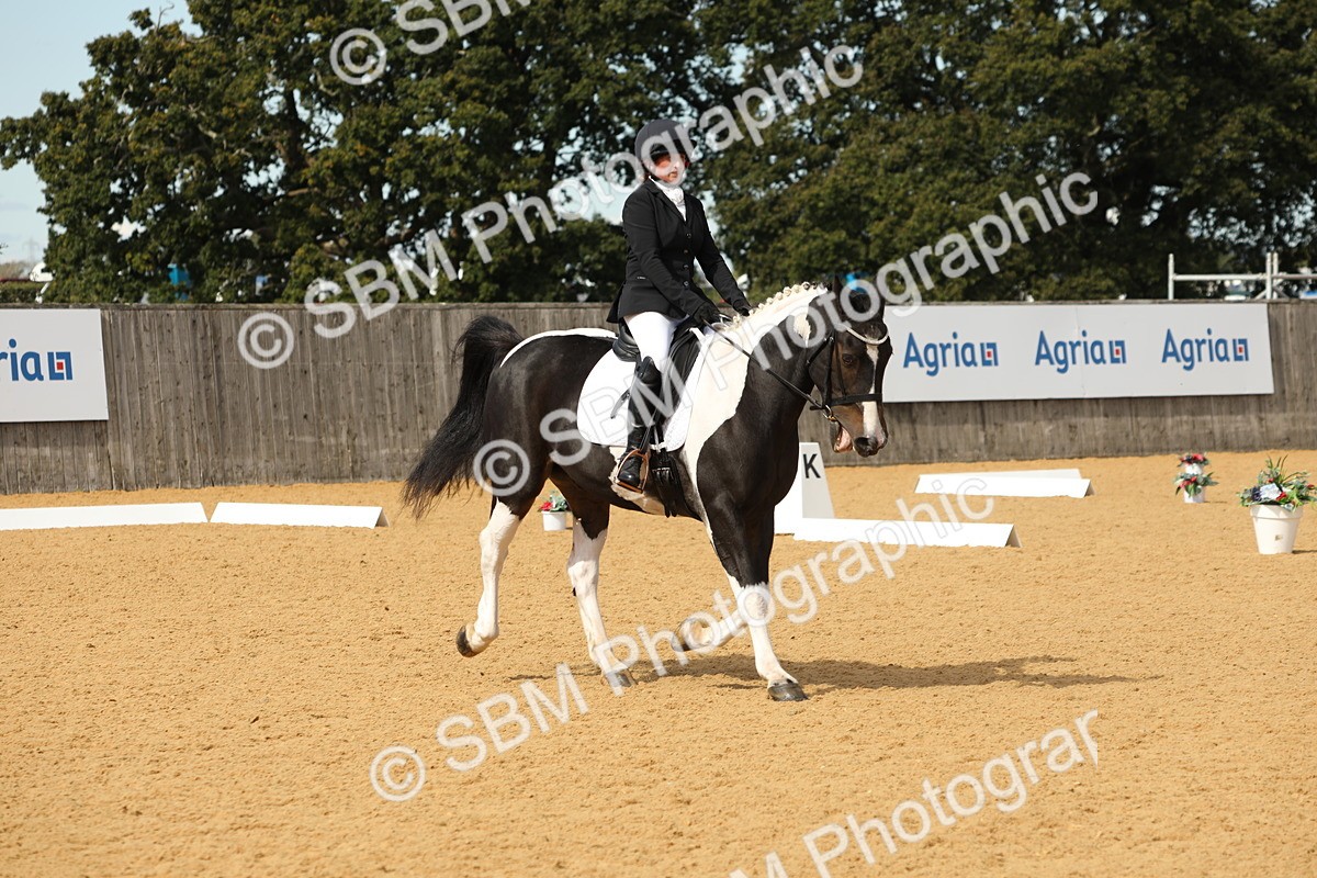 SBM_22189 - D17 - Grand Tour Championship - Novice 27