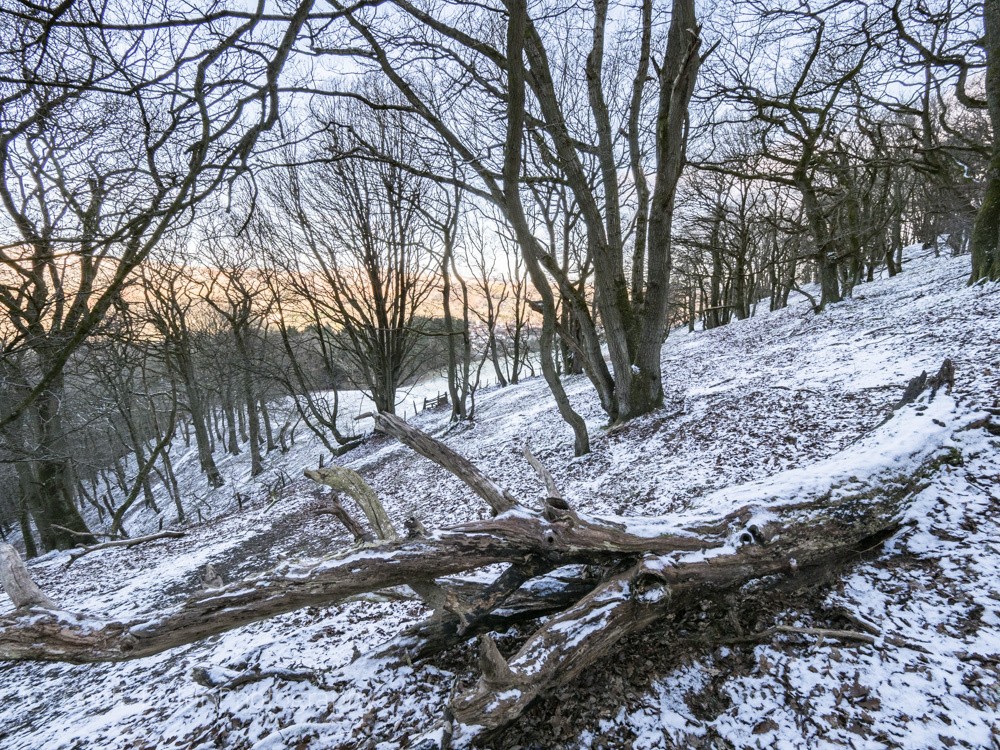 0637 Ragleth Wood - Stretton Hills
