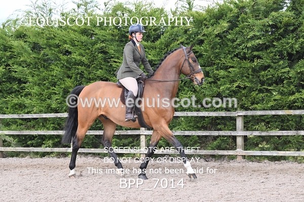 BPP_7014 - RING 1  (RIDDEN HORSES / IN HAND / VETERAN ETC)