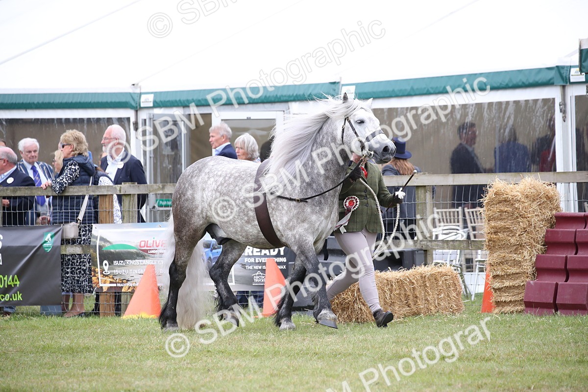 SBM_09735 - Ch 50 - Price Family Supreme In Hand