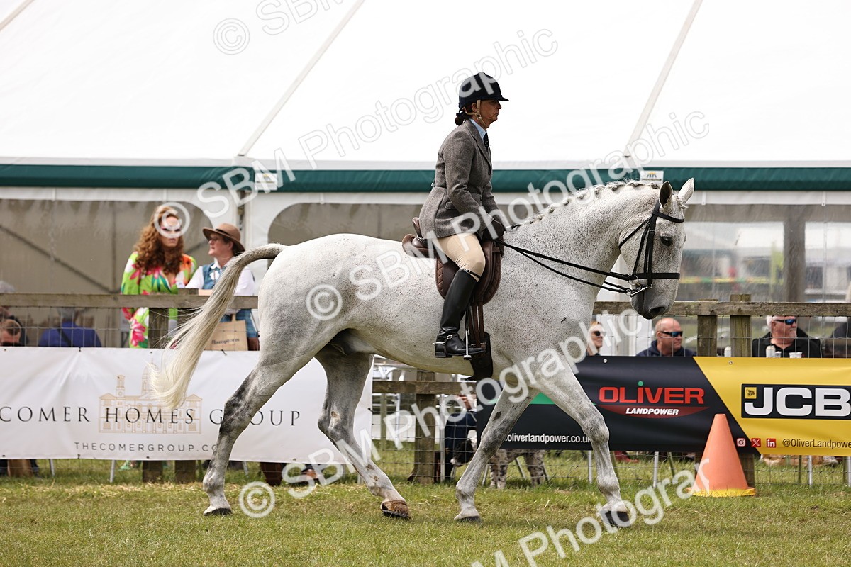 SBM_14653 - Class 88-89 - LIHS BSHA Rising Star of Ridden Hunter Type