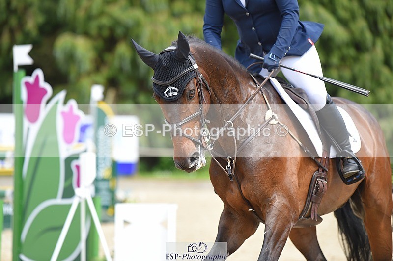 230528-142214-18581 - 178-RIDIRE_DORCHA-Lucy_Stimson-SUNTrotUp+SJ