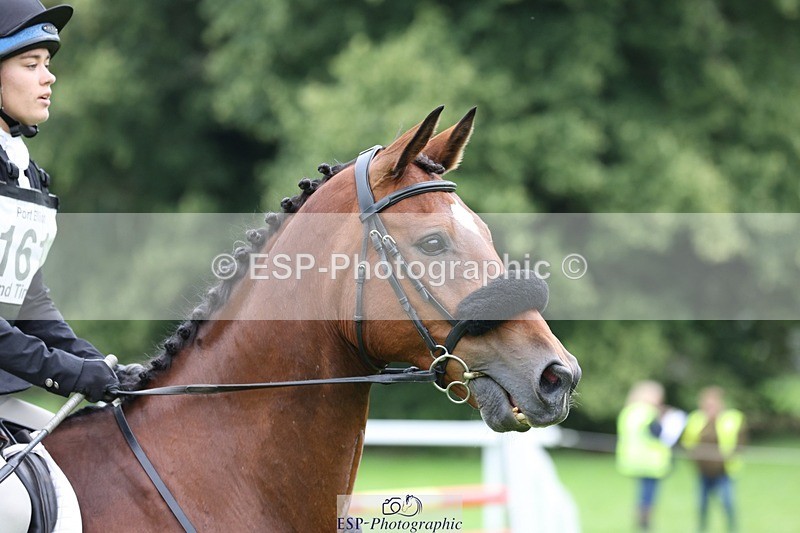 230805-113657-00900 - SJ 11 to 11.55