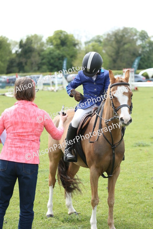 20260426-2120 - Class 15 - Absolute Novice 70cm