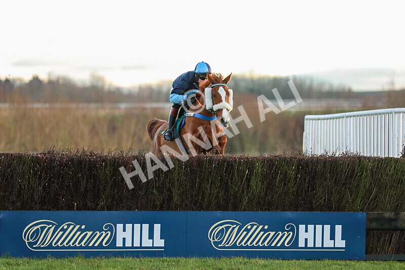 281224-Race 5-Poetry Man-1636 - Race 5
