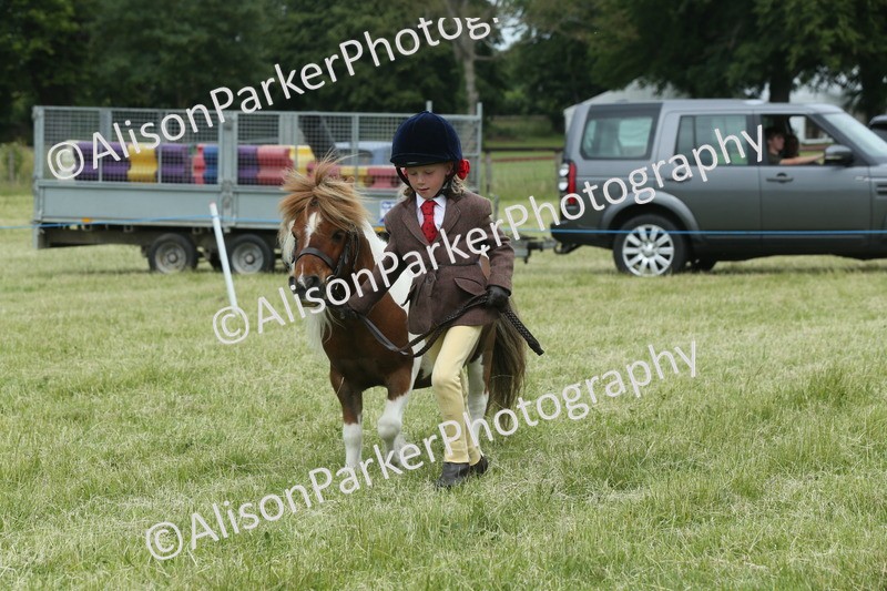20260614-4295 - Class 18 - Best Junior Handler