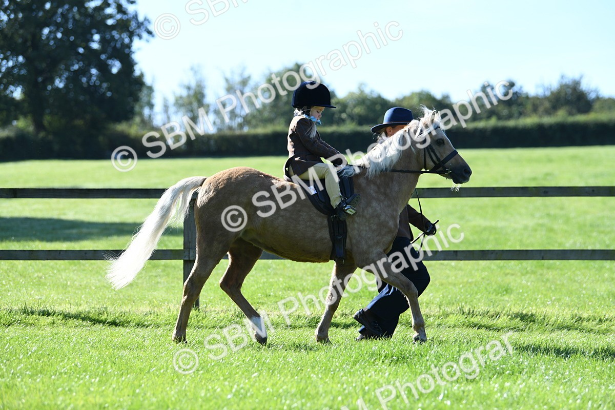 SBM_36826 - S18 - Novice & Newcomers Lead Rein Pony