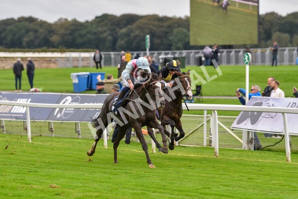 131023-Race 2-Lordship-9193 - Race 2 2.40pm William Hill Finale Handicap