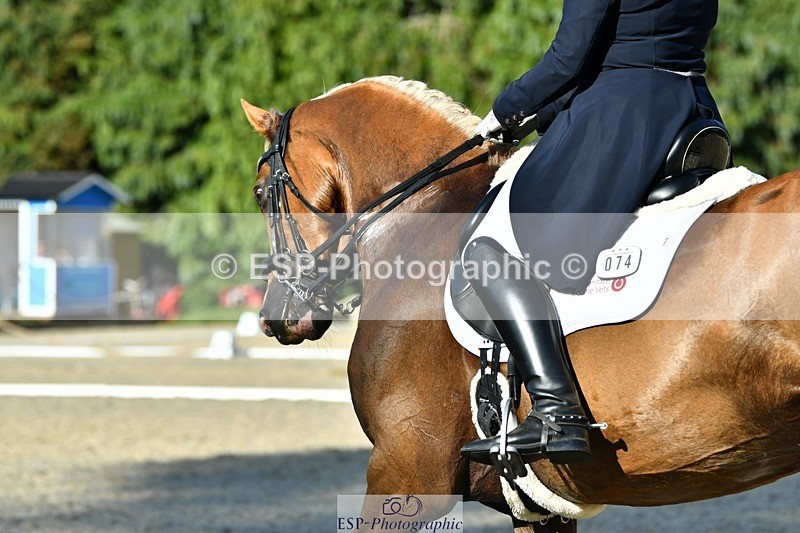 230623-181257-03192 - Cls 11 FEI PSG