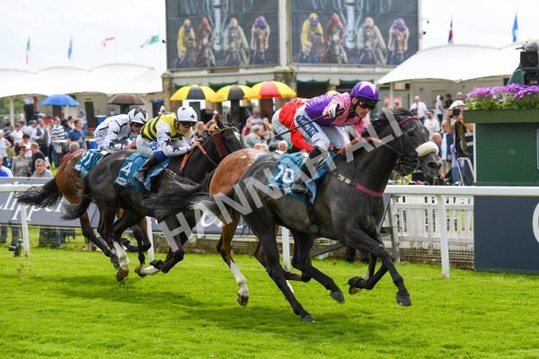 170523-Race 3-Azure Blue-0461 - Race 3 3.00pm 1895 Duke of York Clipper Logistics Stakes