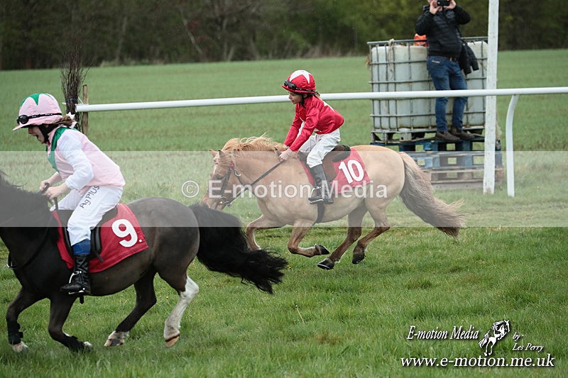 SHETPR 210425 213 - Shetland Ponies Paxford Races 21/04/25
