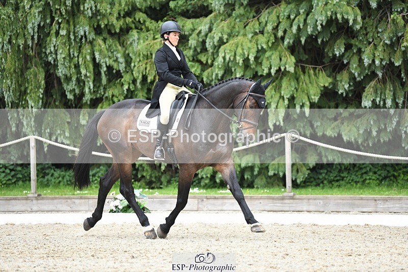 230525-152426-03242 - 326-GULLITH-Emily_Lochore-WEDTrotUp+DR