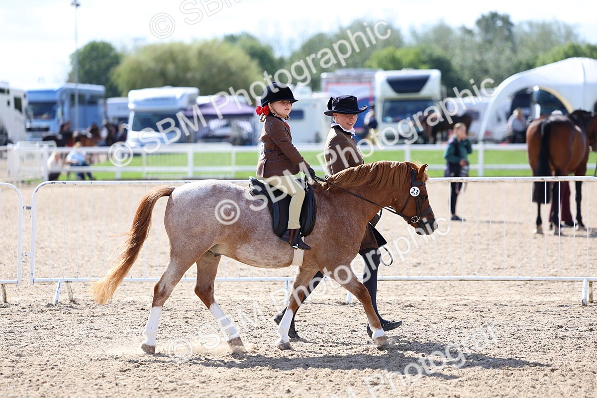 SBM_13029 - Class 309 - Lead Rein Pony