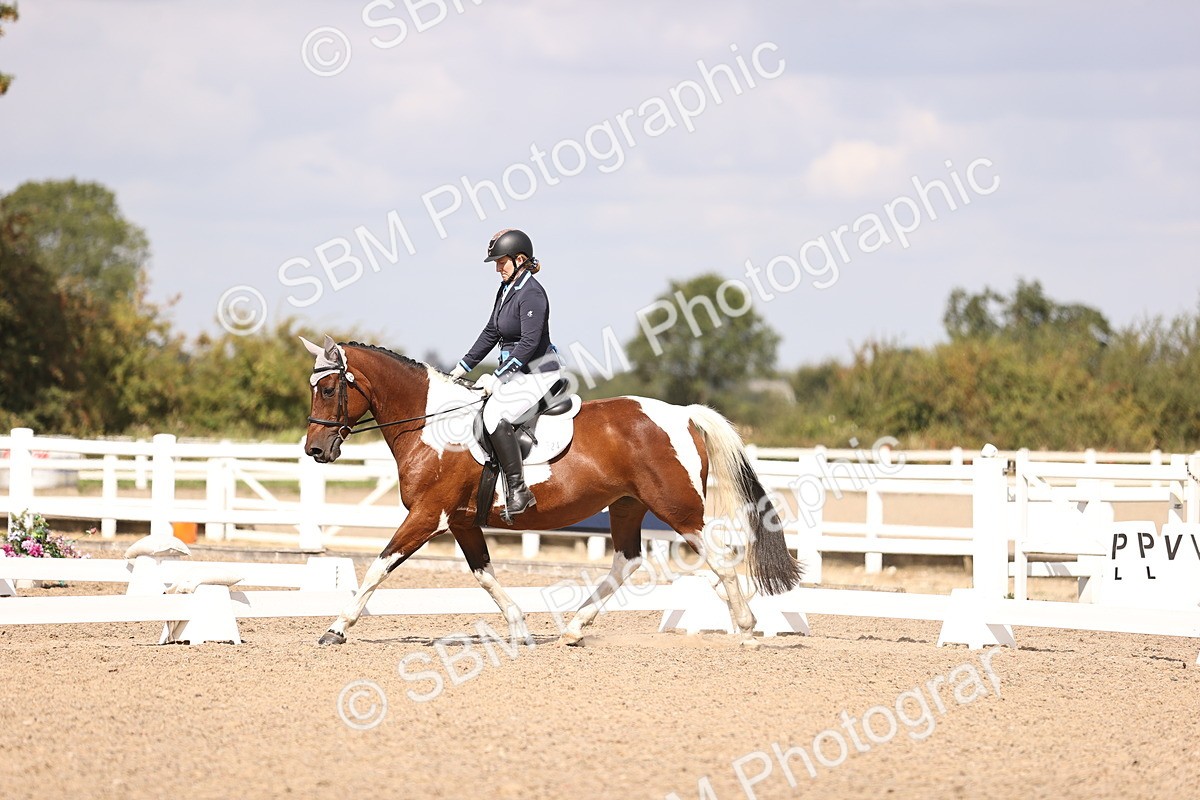 SBM_03723 - CLass 35 Intro 3