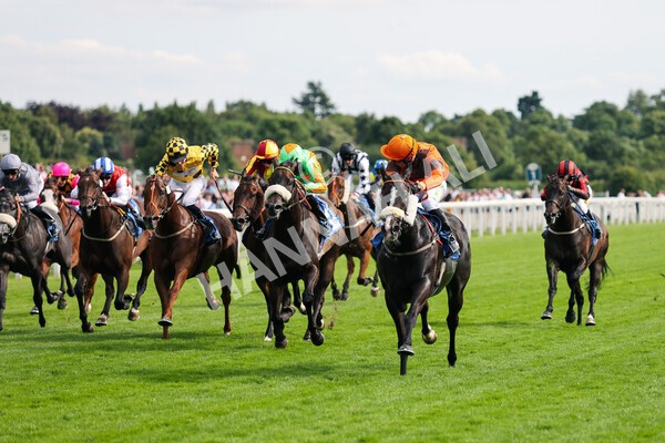 yr08072022r6-9 - Race 6 5.00pm Irish Thoroughbred Marketing Stakes