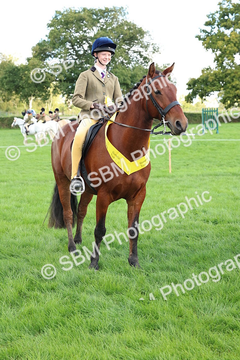 SBM_45561 - S33 - Working Hunter Pony