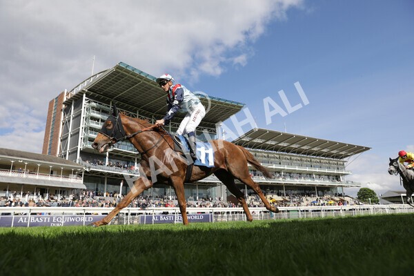 yr22052021r7-40 - Race 7 5.25pm Hudson Quarter York Palace Capital Stakes - Gentleman Amateur Riders Race