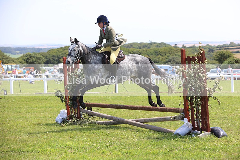 JPP_2472 - Class 21: Working Hunter 60cm