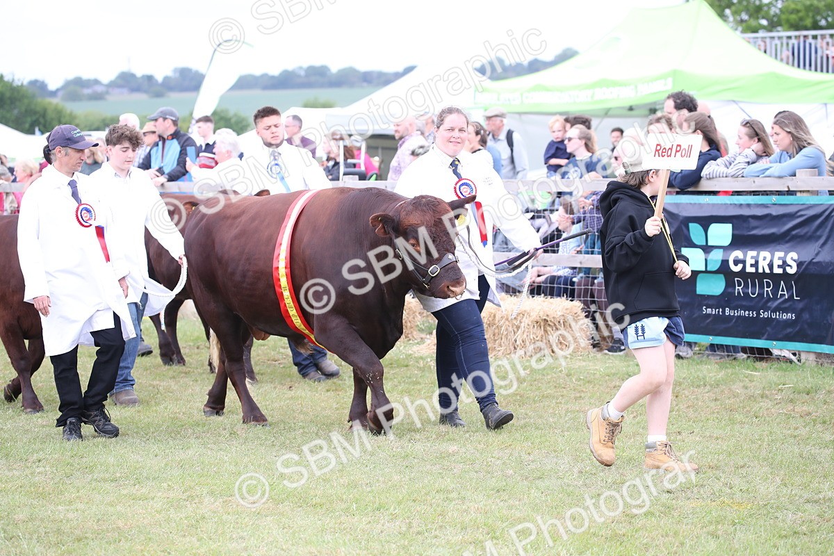 SBM_07828 - Grand Parade