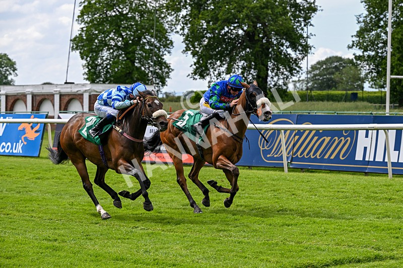 050626-Race 4-Annie Edson Taylor-3276 - Race 4 15.30pm Moody Construction Handicap