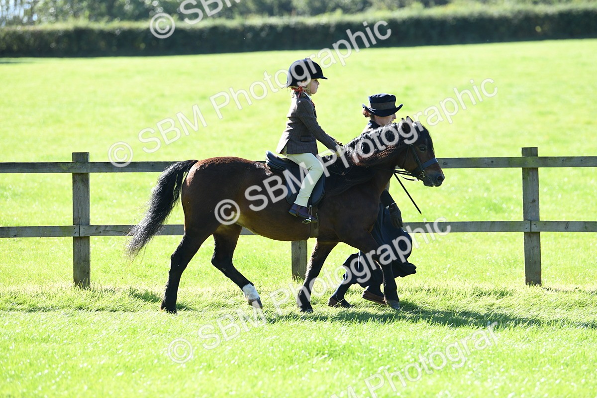 SBM_39556 - S18 - Novice & Newcomers Lead Rein Pony