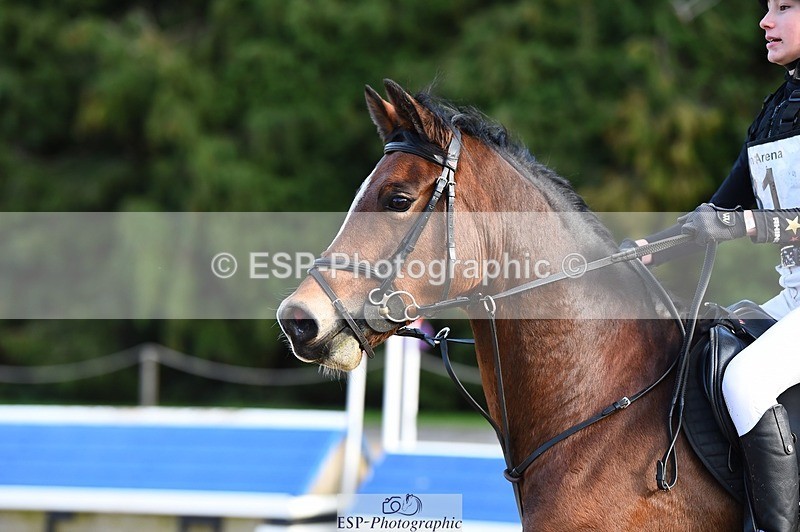 231119-122018-03179 - Cls 2 80 to 85cm