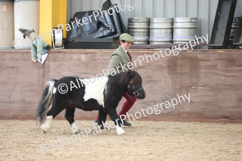 20251109-1222 - Supreme Championship