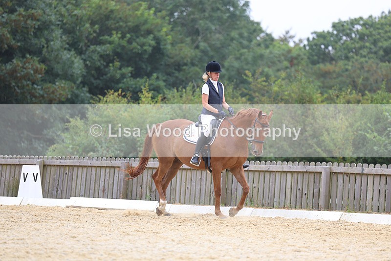 3E7A7426 - Class 9: Elementary 4 2024 - No sections