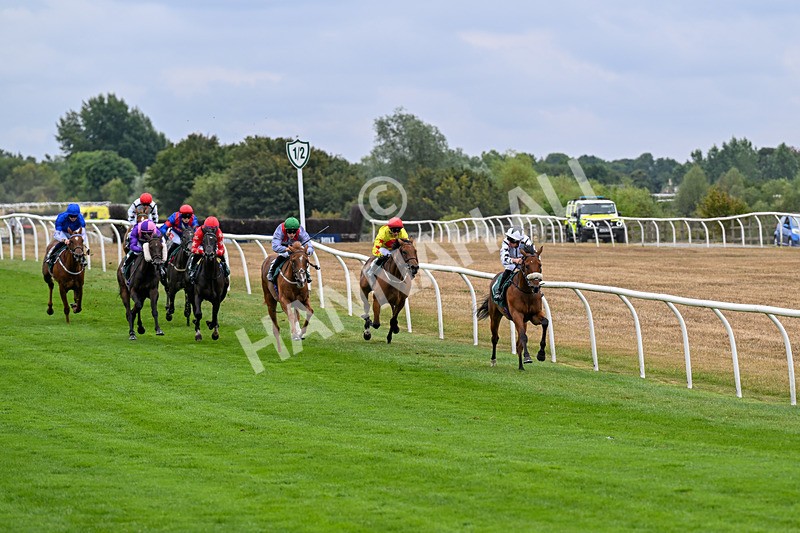 170826-Race 2-Harrys Pop-9143 - Race 2 14.45pm Well-Earned Retirement Neal Kidd Nursery Handicap